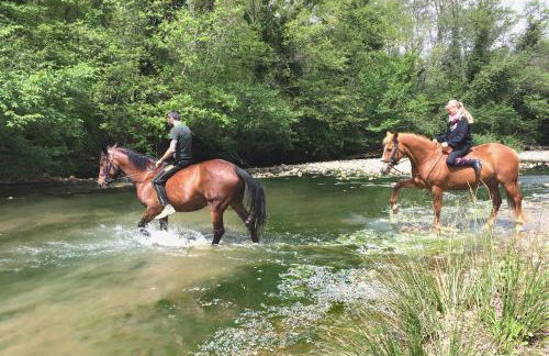 Hotel Rifugio Prategiano - Foto 14