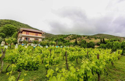 Country Home Genesi 20 min from Trikala - Foto 54