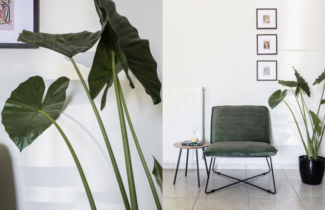 Majestic 3BR Apartment in Chalandri - Foto 29