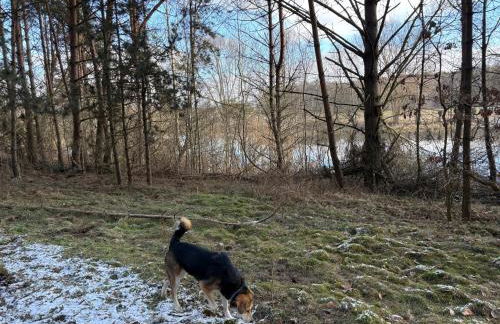Gemütliches Studio am Stadtrand Haustierfreundlich - Photo 28