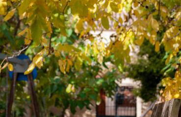 Finca La Celada - Foto 7