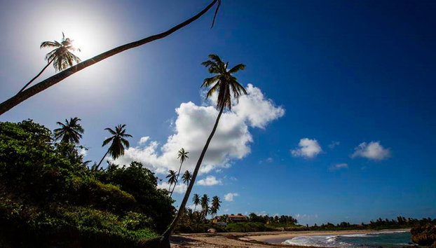 Southern Coast Beahes & Tambara. - Photo 3