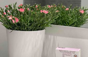 Idyllic 6 bed villa stunning sea view salt pool - Photo 56