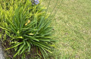 Chácara Casa Amarela - estrutura completa de lazer - ambientes elegantes e exclusivos - campo de futebol e bocha - piscina - lareiras - 10 min Rota do Vinho - Foto 44