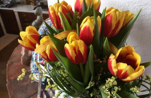 Ciasa Rudiferia Appartamenti in Alta Badia - Foto 3