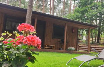 Domek z widokiem na jezioro - Foto 2