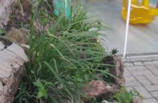 Quarto Residencial Dubai - Lazer Completo - Foto 30