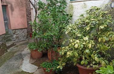 Country House - Foto 16