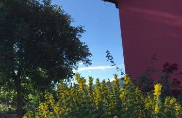 Malinowy Domek - Photo 74