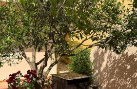 Nel Blu Dipinto di Blu - Foto 16