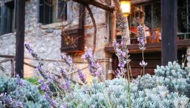 Green's House - Foto 5