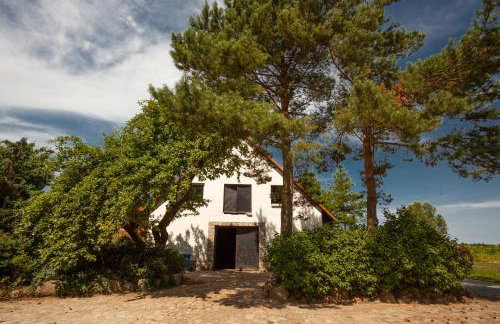 FEWO Reitanlage bei Altefähr - Foto 34