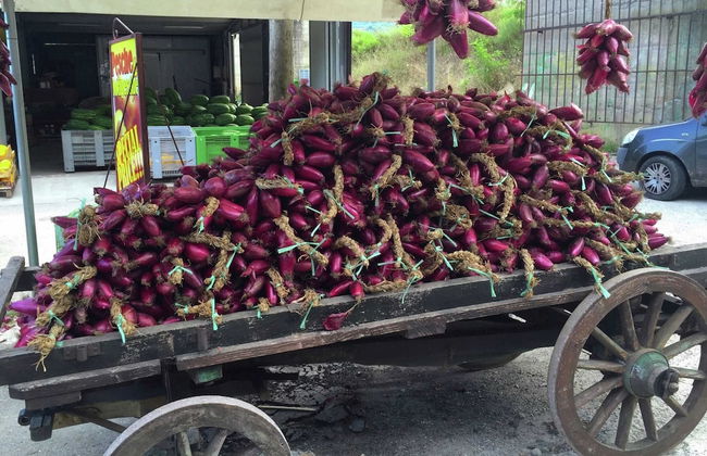 Family Sea-view Retreat in Parghelia - Foto 19