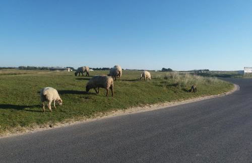 Maison de La Beslière meublé de tourisme 2 étoiles - Foto 65