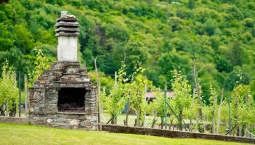 Anna nel verde - Foto 2