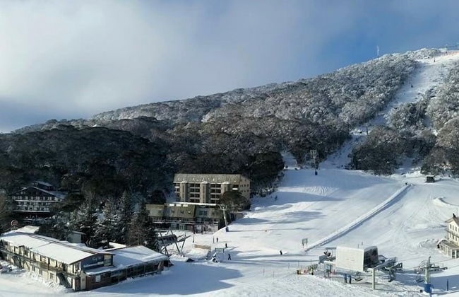 Eco Villa Mt Beauty Near Falls Creek & Bright - Photo 37