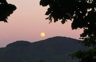 Hillside semi-detached villa with panoramic views - Foto 12