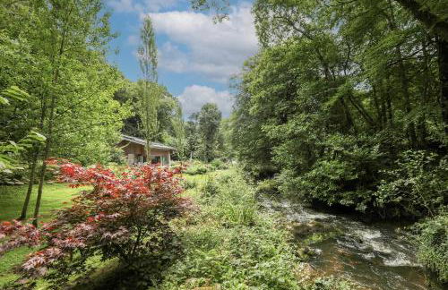 Dippers woodland setting at the Luxulyan Valley - Foto 3
