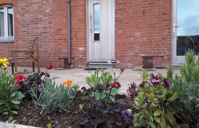 Courtbrook Farm Apartments - Foto 46