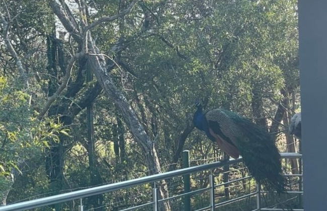 Kings View Exclusive Villas - Foto 48