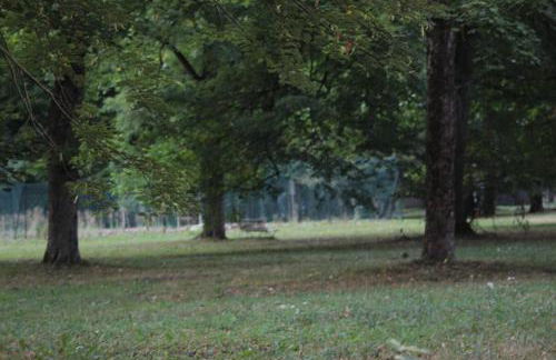 Maison de charme calme entourée de montagne - Foto 25