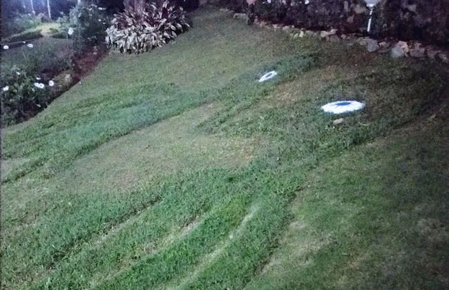 Windsor Forest Bungalow - Photo 34