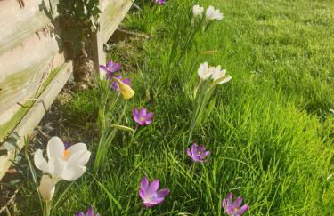 Island Retreat with HotTub - Foto 18