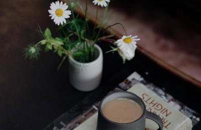 Two unique cabins wrapped in beautiful welsh scenery - Foto 7