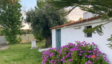 HORTA do RAMALHAÕ - Foto 5, Garden