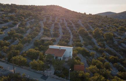 Villa Sonia Kaprije - Foto 3