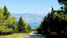 Quartier No.63 - Foto 2