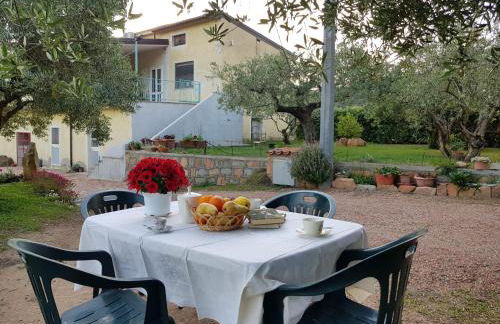 Monte Astili - Foto 17