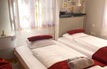 Evergreen Elati - Foto 21