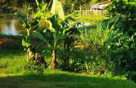 Chácara Bertelli - Foto 34