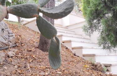 12 Gods Resort - Foto 42