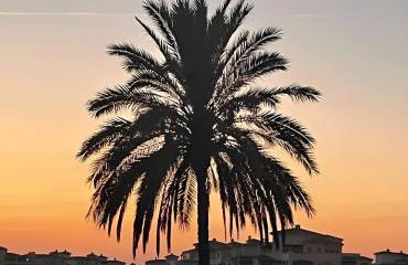 Luxury 2 bed Penthouse on Golf Course Murcia - Foto 30