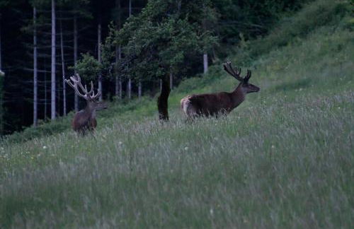 Face Mont-Blanc - Photo 16