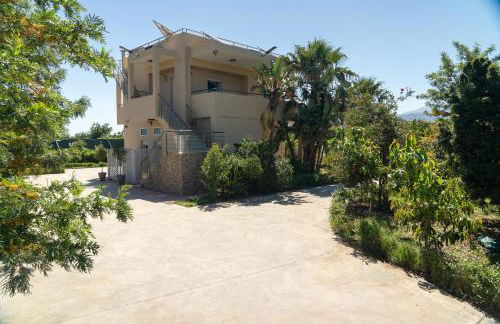 Green Orange Villa near Platanias - Photo 39