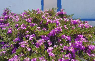 Casa Luciana - Foto 17