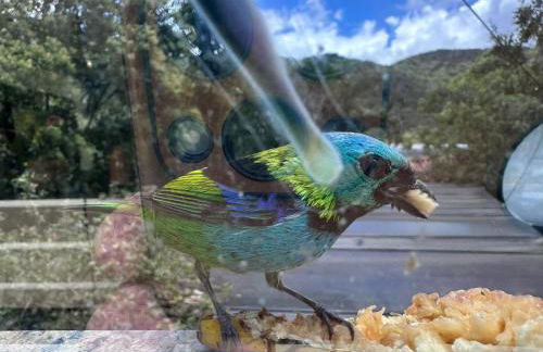 Arthi - LINDO LOFT RECANTO DOS PASSARINHOS - Foto 53