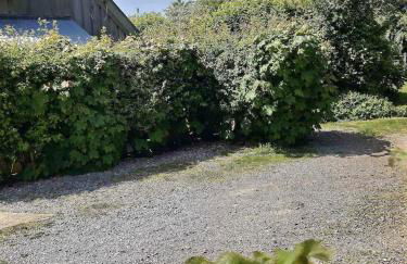 Lovely Somerset Getaway - Foto 15