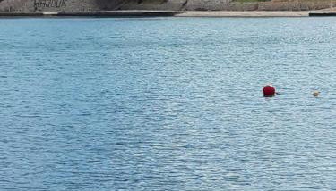 Apartmani Tanja - Photo 4