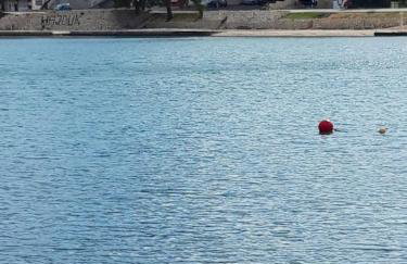 Apartmani Tanja - Photo 4