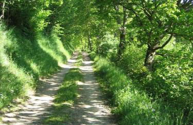 Lozère St Alban Aubrac Margeride gîte 4 étoiles 8 personnes au calme près nature - Foto 42