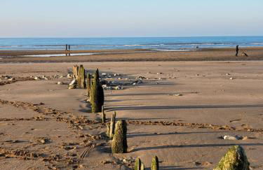 Charmante petite Villa sur Deauville Trouville-sur-Mer - Photo 41