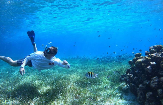 Snorkelling in a Turtle Sanctuary - Photo 4