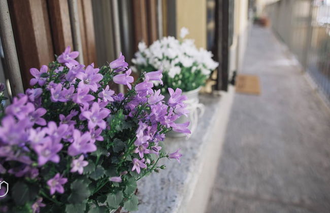 Italianway - San Gottardo - Photo 8