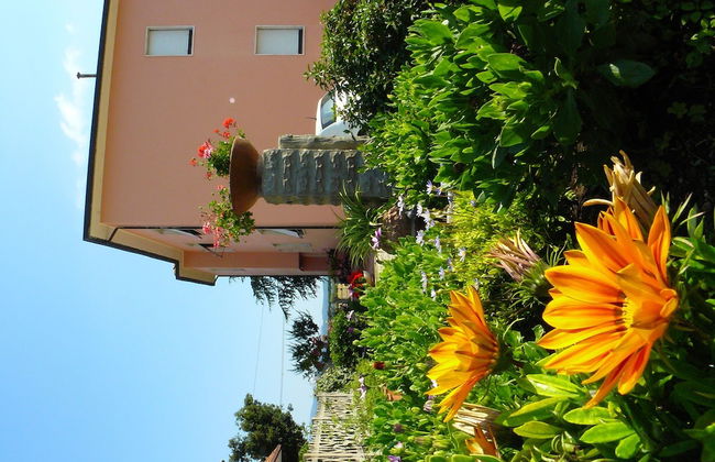 La Mimosa - Photo 56