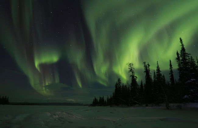 Bear Corner Lodge - Photo 31