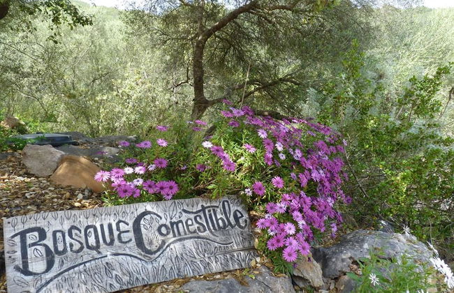 Agroturismo Can Torna AG178 - Foto 37